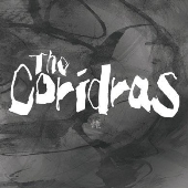 tumblr_inline_n4w0e7uUpD1s3bz82